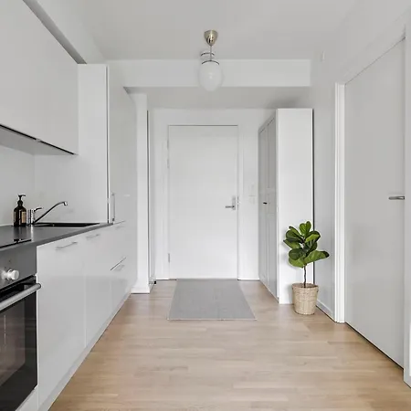 Peaceful Apartmán Århus